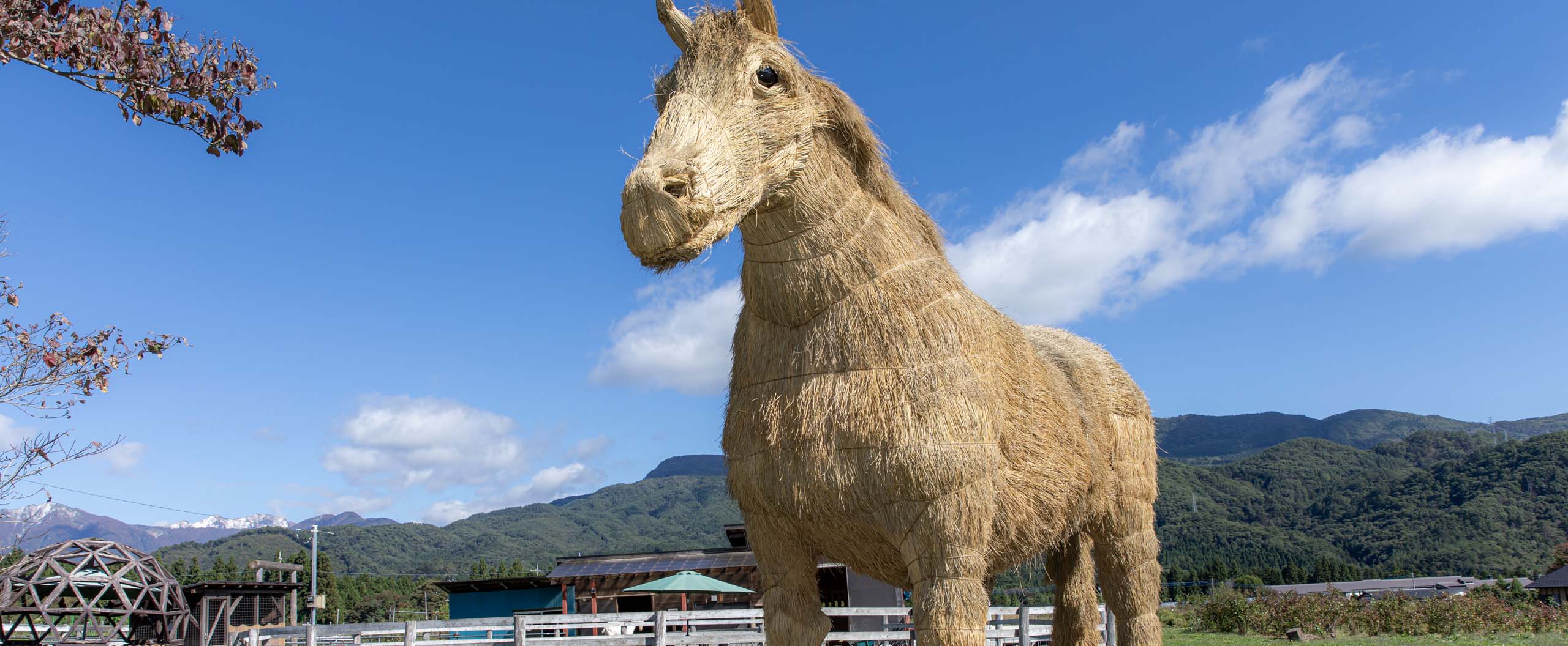 群馬県高崎市のイラストレーター松本勇馬のオフィシャルサイト